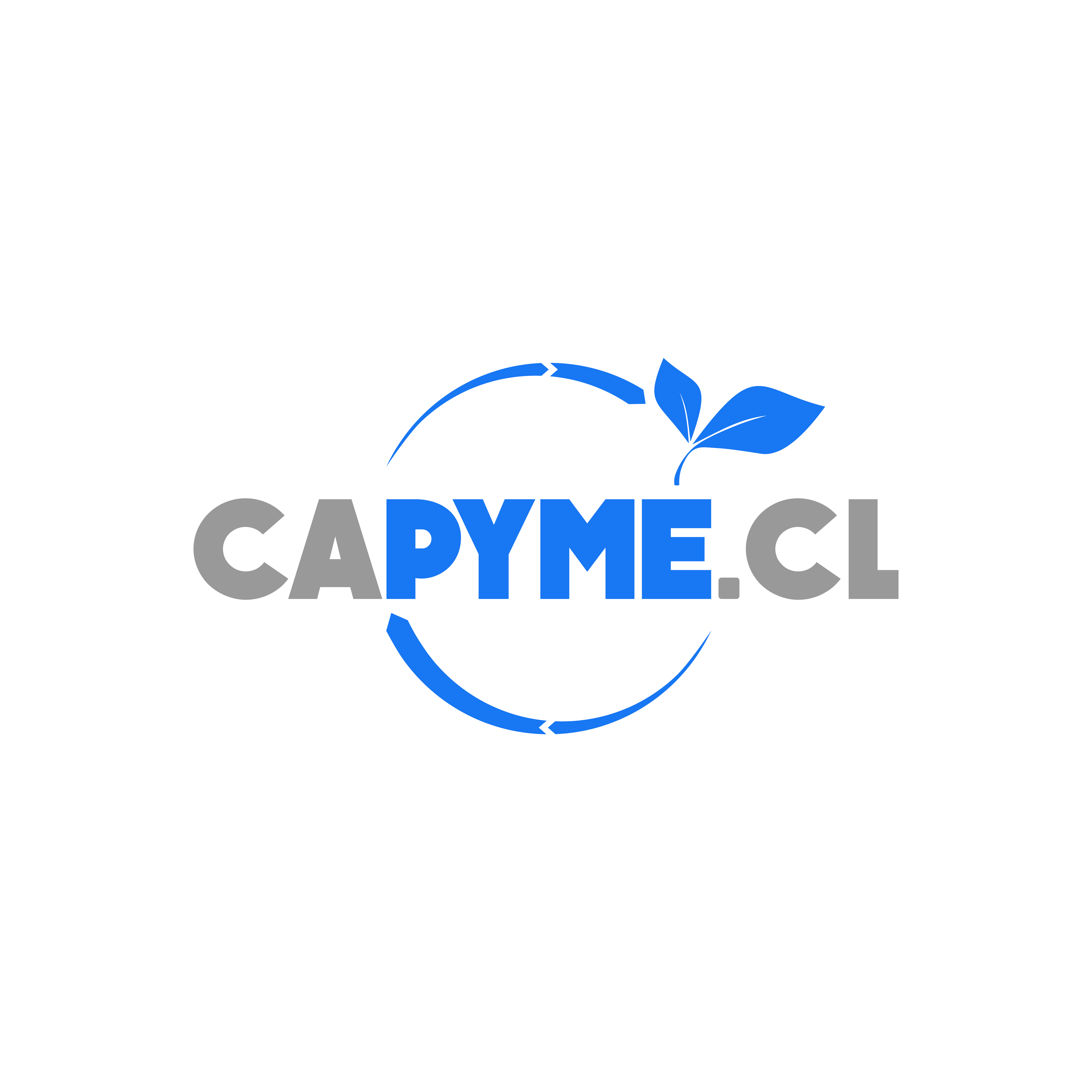 CAPYME
