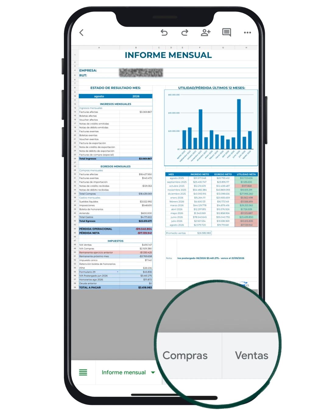 Ejemplo de informe mensual CAPYME